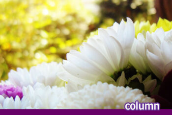 秋の供花におすすめの花は?